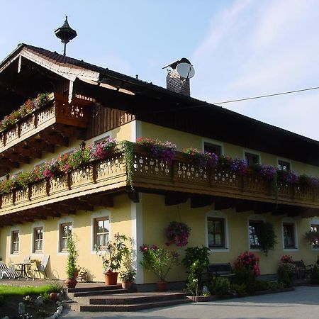 Gaestehaus Steinerhof Залцбург Екстериор снимка